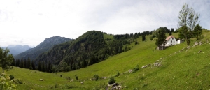 Panoramablick auf der Gradnalm, Foto: ARGE Oberes Kremstal / Klaus Mitterhauser